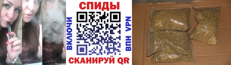 Бутират BDO мориарти официальный сайт Борисоглебск