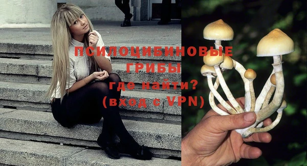 гидропоника Балахна