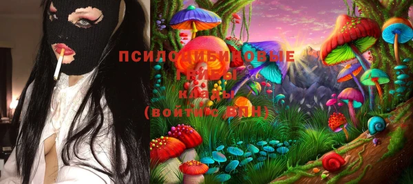 гашик Балабаново