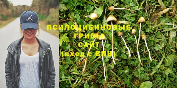 скорость Баксан