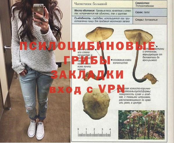 гашик Балабаново