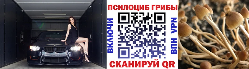 Псилоцибиновые грибы мицелий  Борисоглебск 
